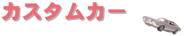 �J�X�^���J�[